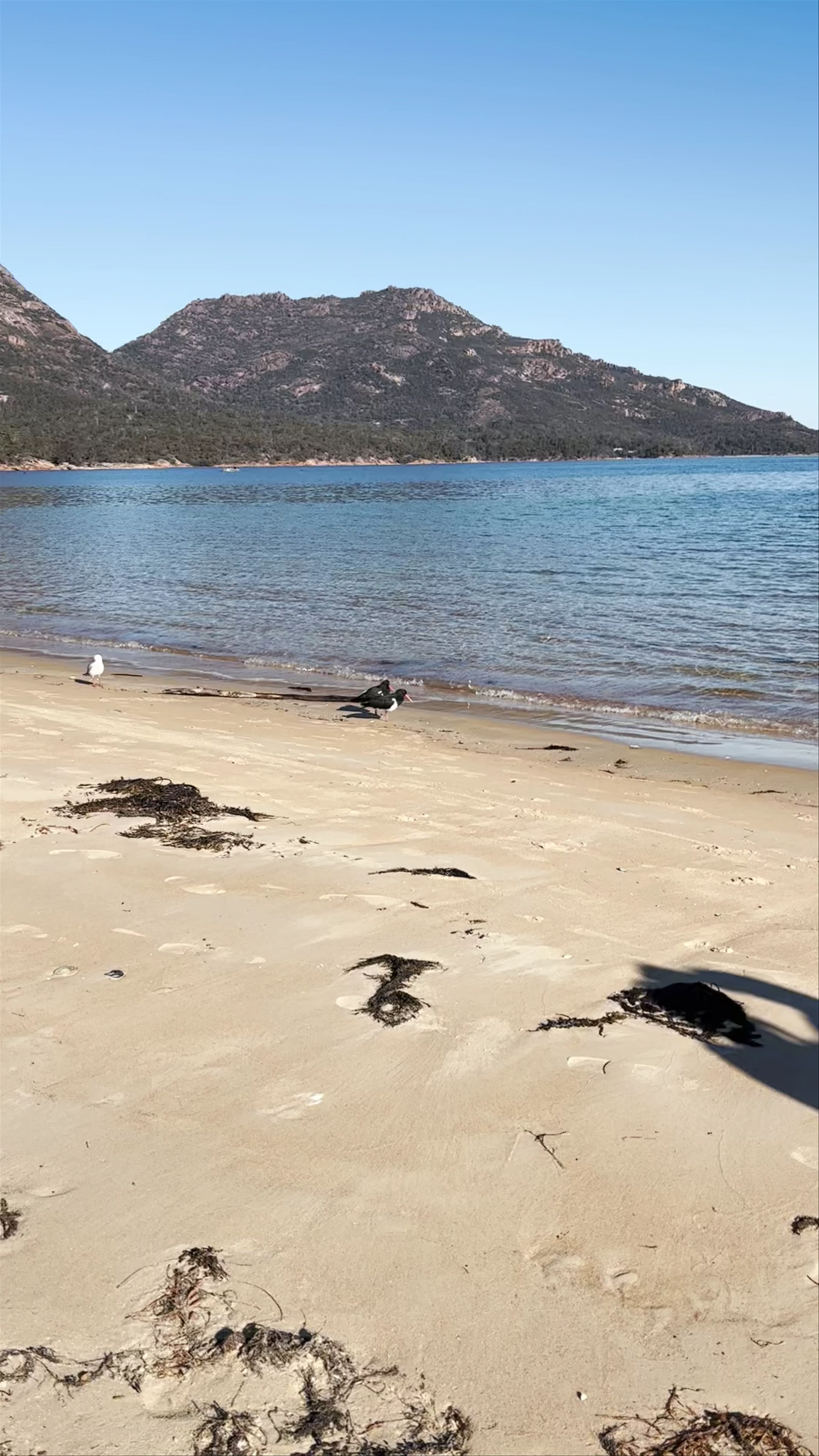 Richardsons Beach