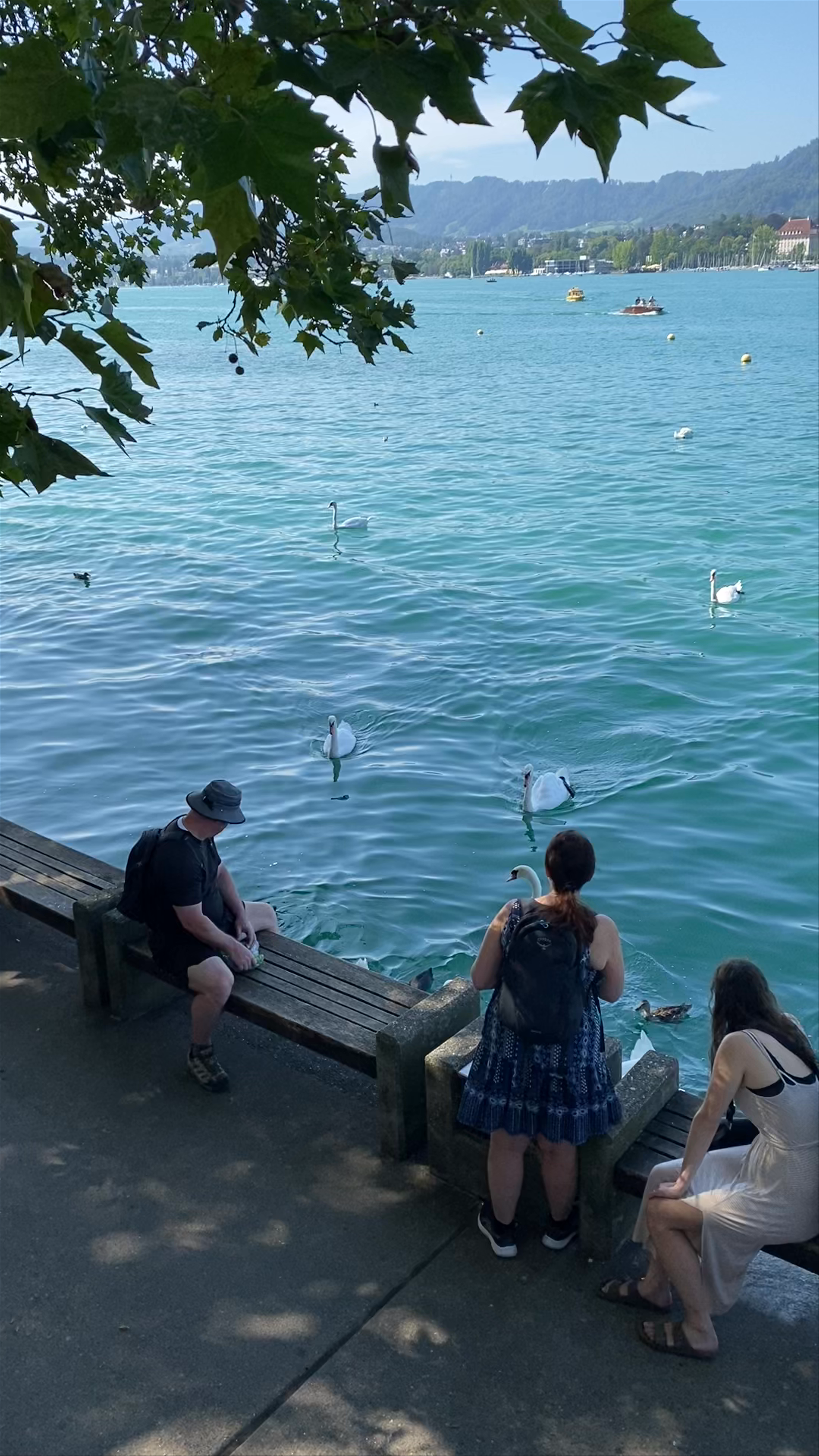 Peaceful Moments at Lake Zurich (Zürichsee) in Switzerland