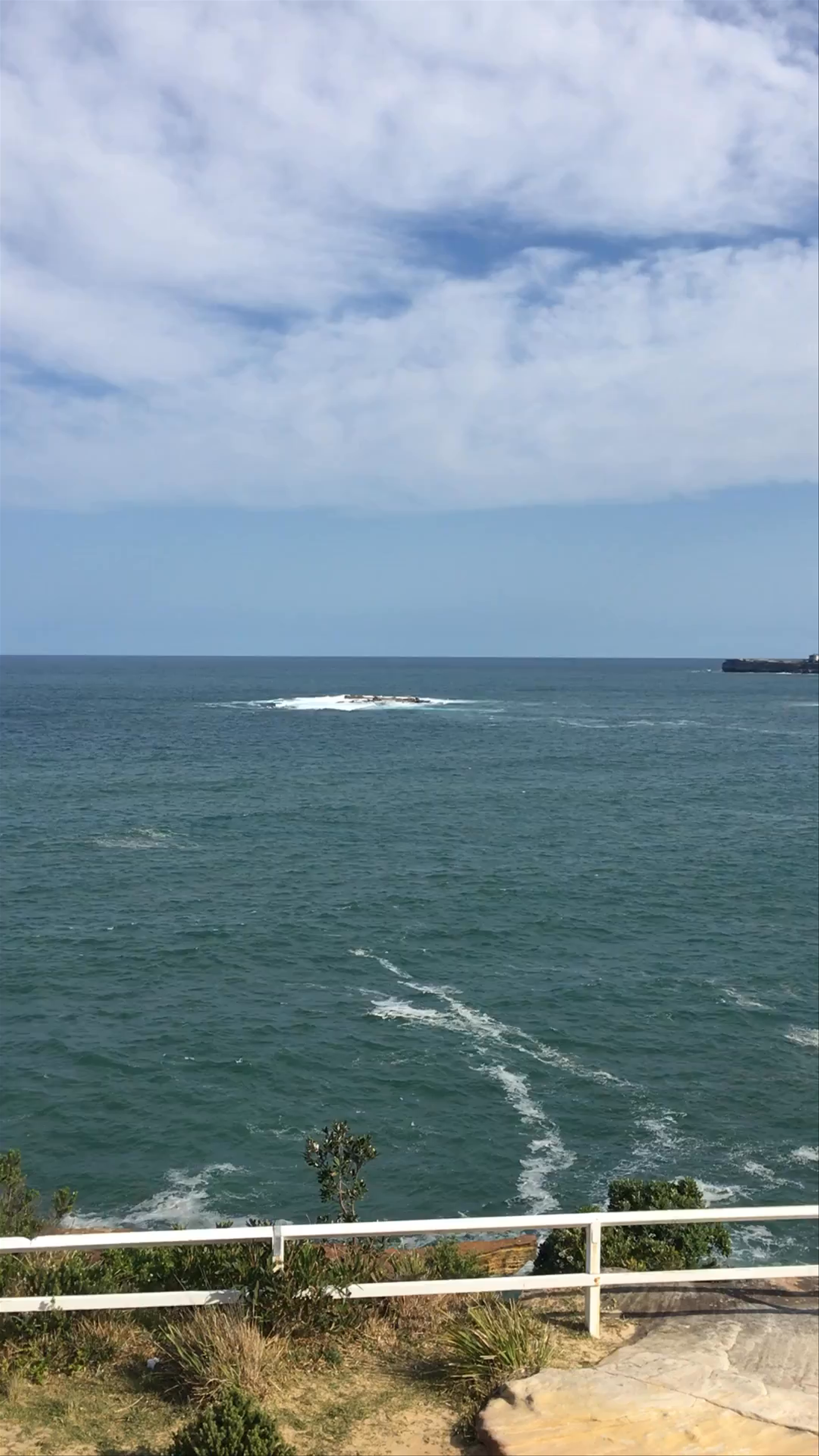 Coogee Beach