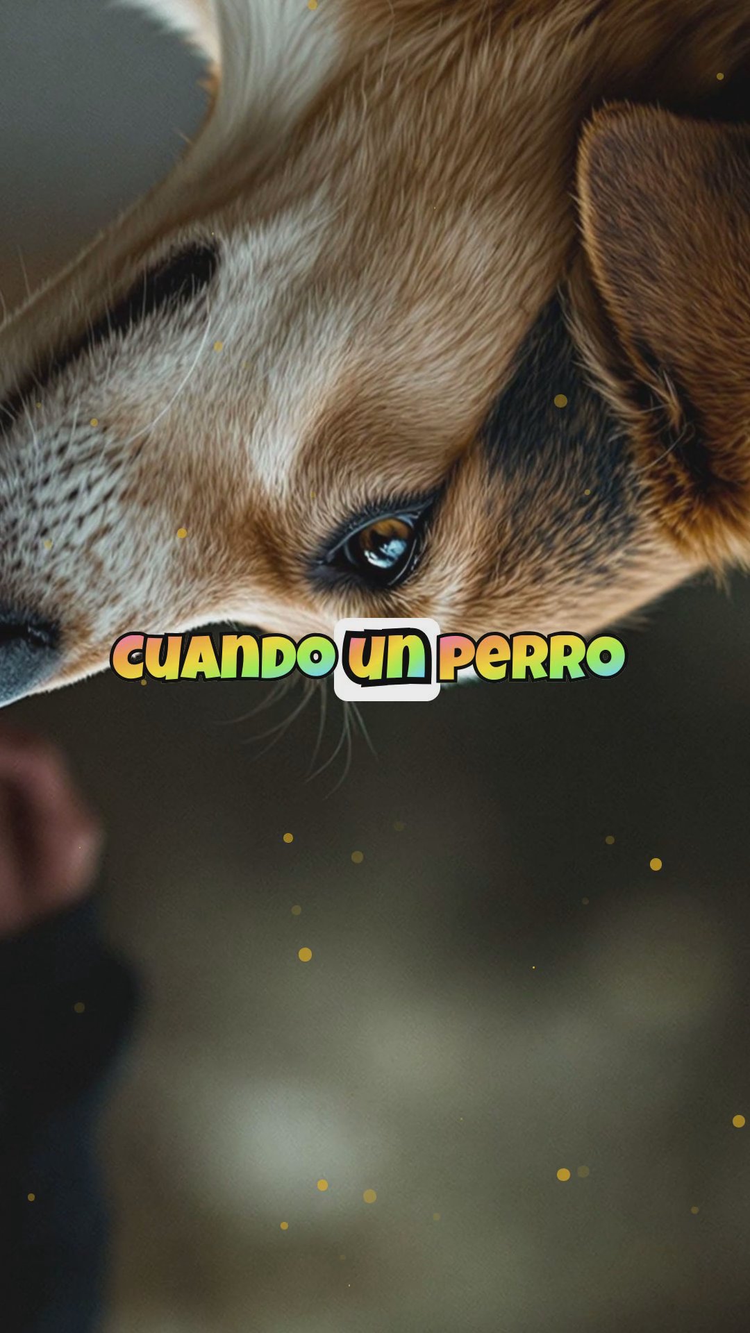 ¿Qué dice tu mascota sin hablar? Lenguaje corporal de perros y gatos