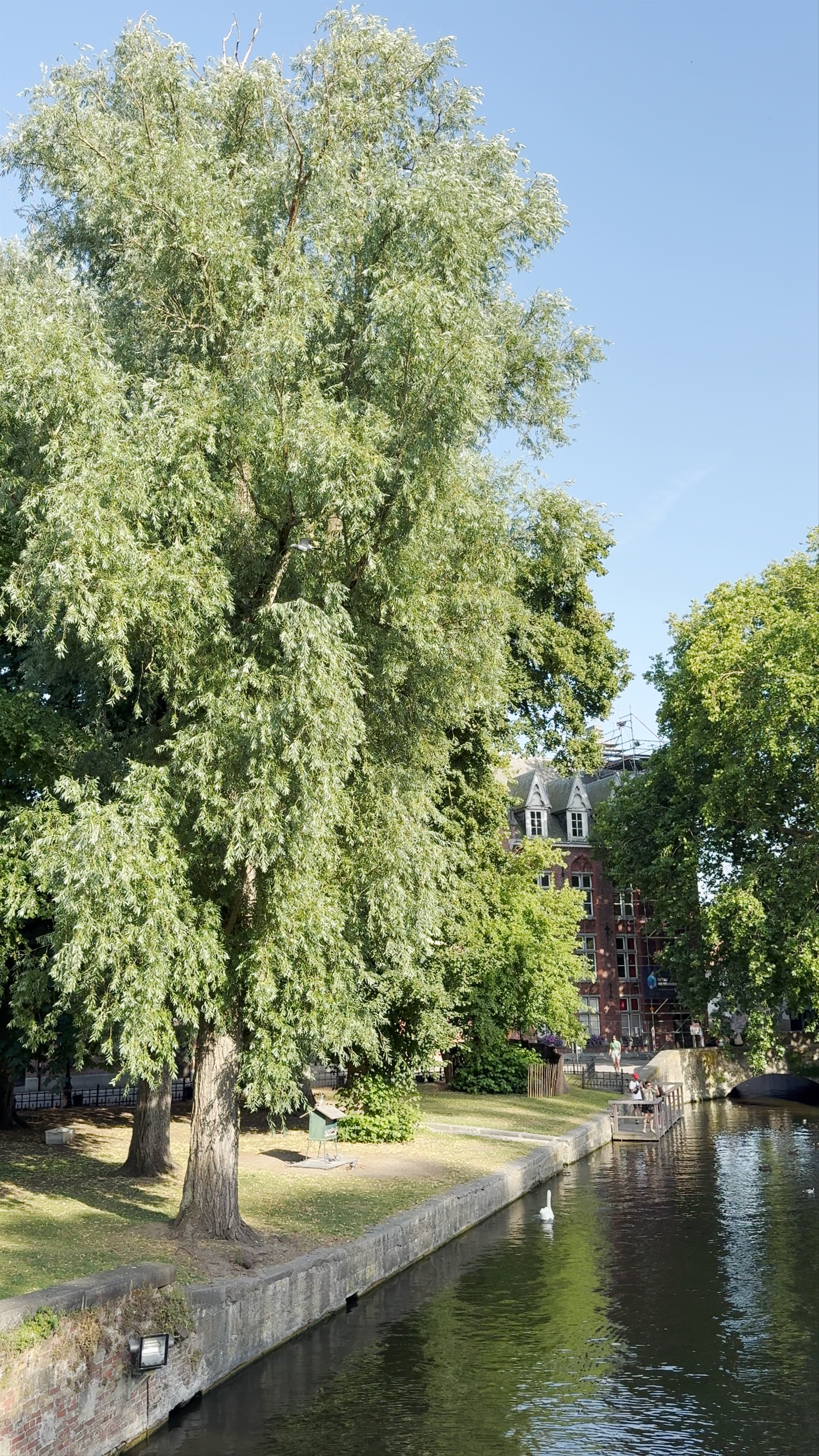 Lago de Amo: Serene Waterways and Historic Charm in Bruges
