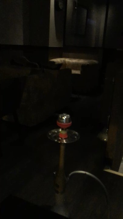 Hakuna Matata - Hookah Bars Near Me - Paris, 75