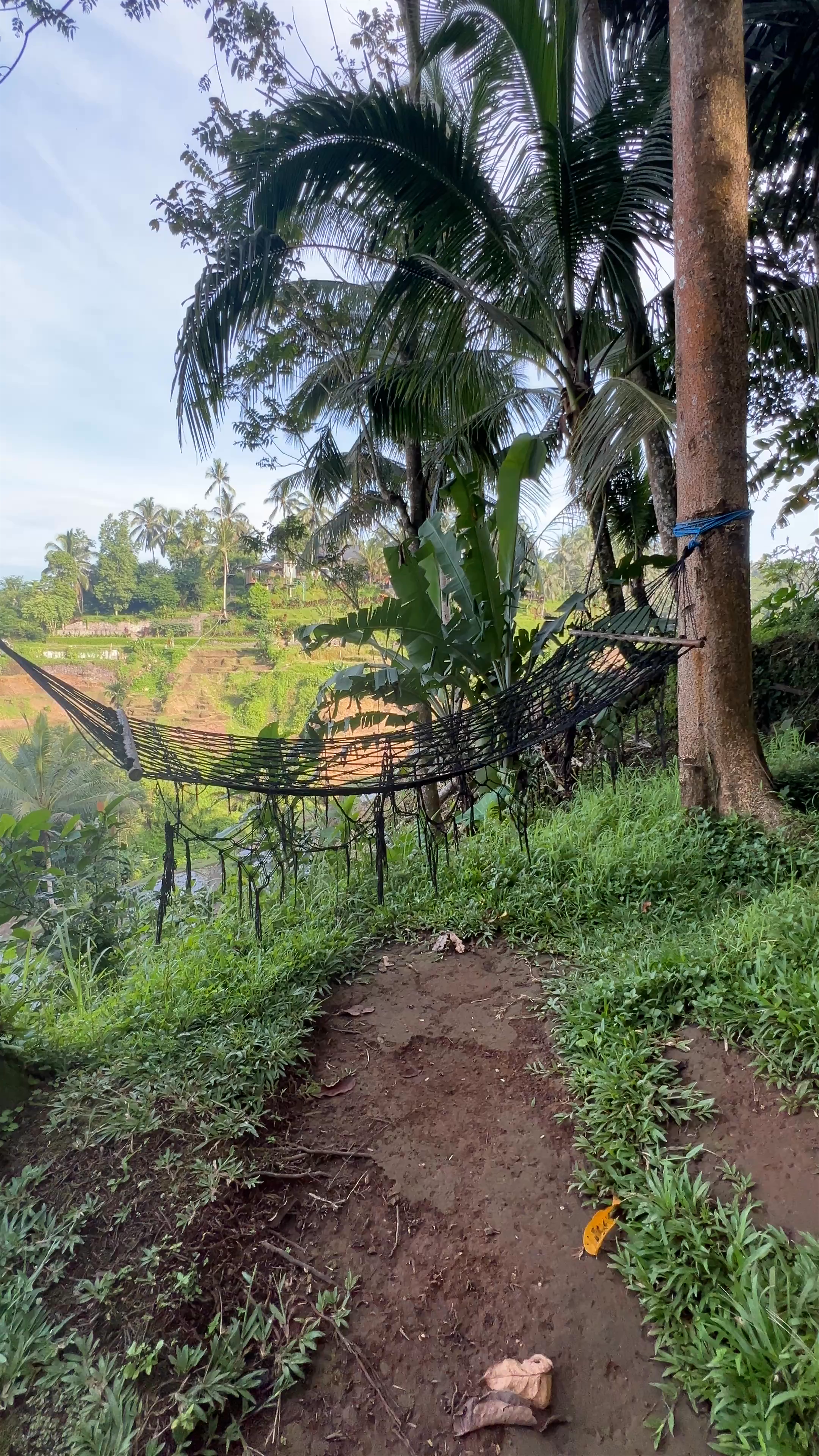 Mupu Rice Terrace: Serene Nature Escape in Kedisan, Bali