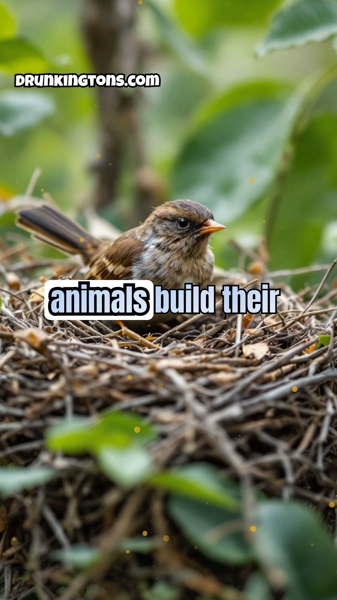 The Astonishing Abilities of Animal Architects: Nature's Ingenious Builders