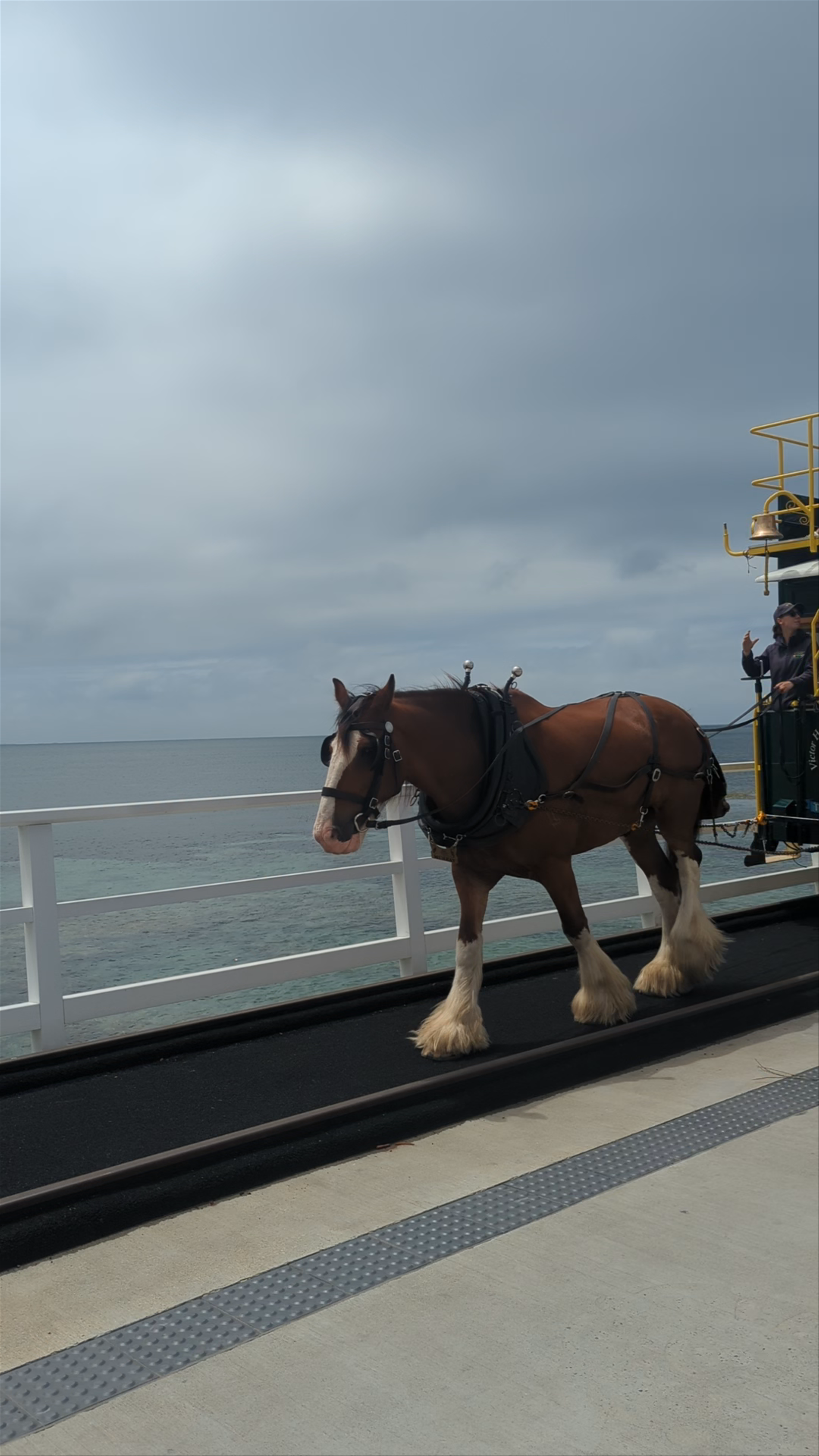 Victor Harbor Horse Drawn Tramway