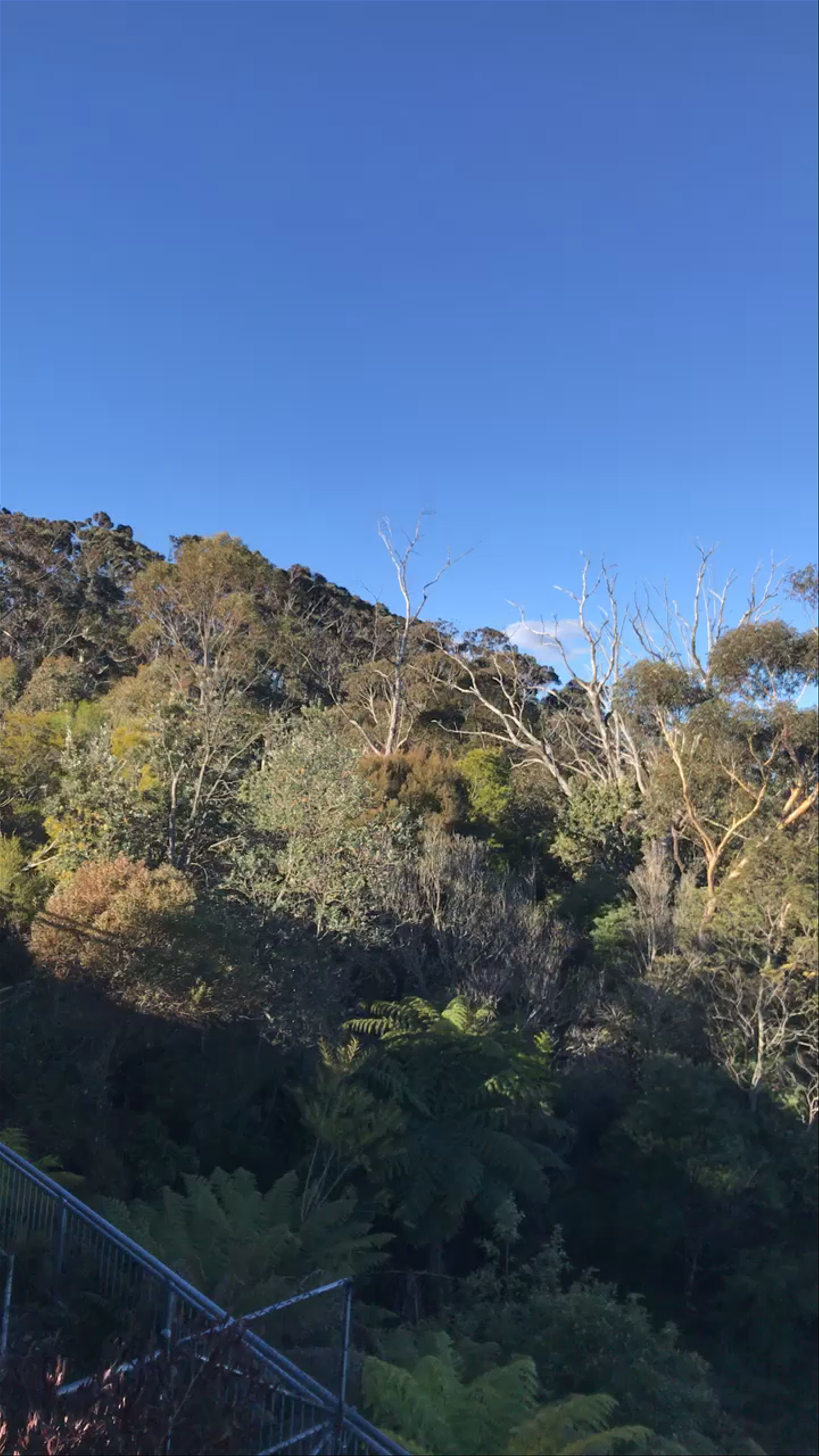 Echo Point: Awe-Inspiring Views of the Blue Mountains
