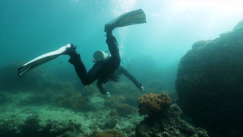 Scuba Diver poster