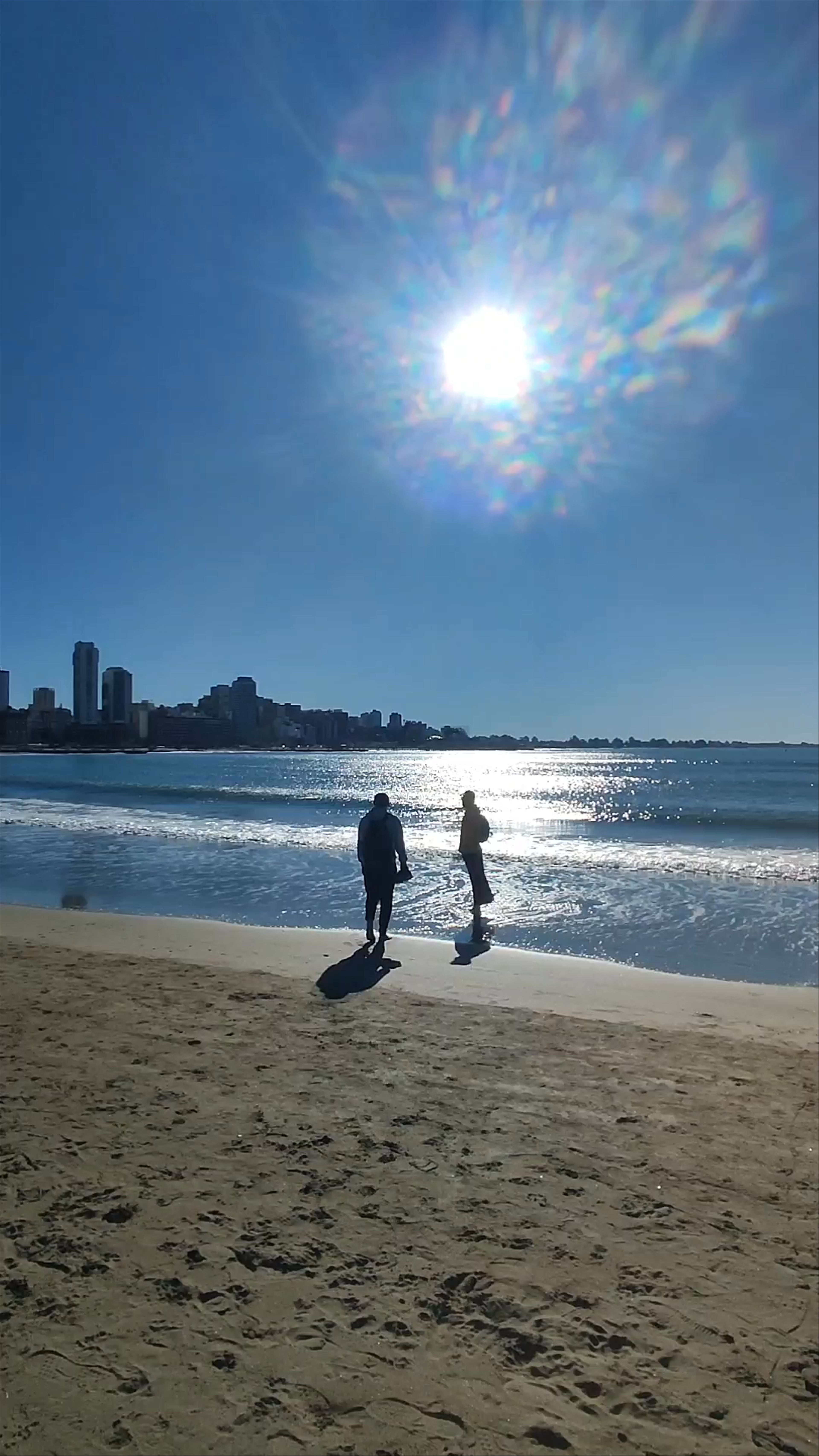 Sea lion reserve of the port of Mar del Plata