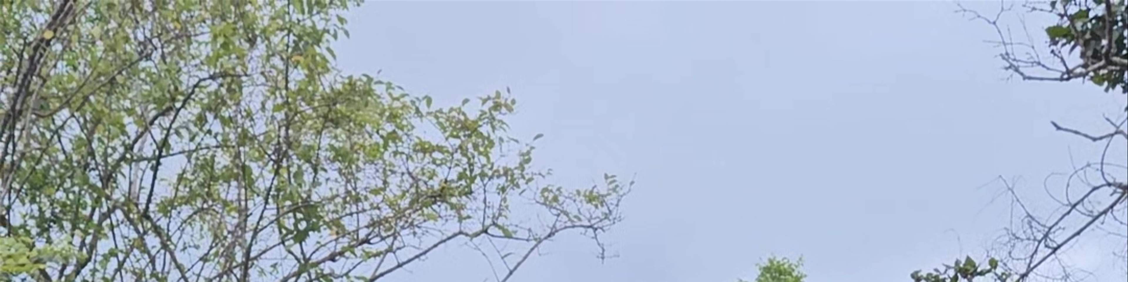 Kataragama