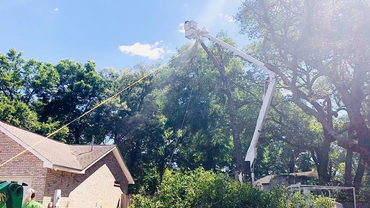 Gulf Tree Man - This is the most innovative way I could've ever thought of using a zip line while working. - Tree Services Near Me - Milton, Florida
