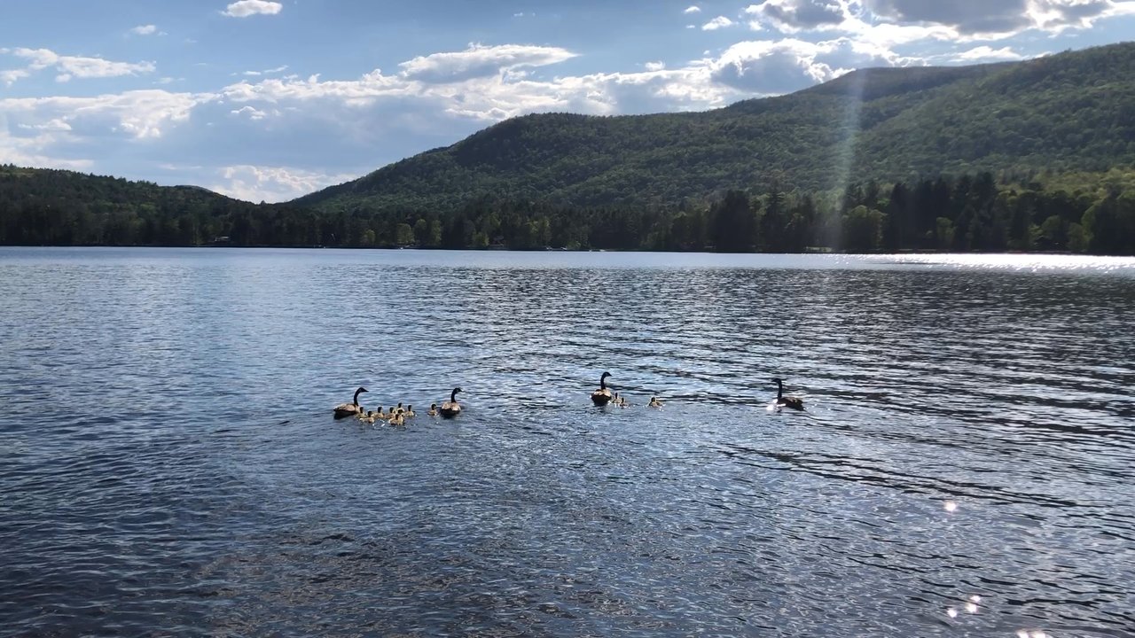 Lake Algonquin - Lakes Near Me