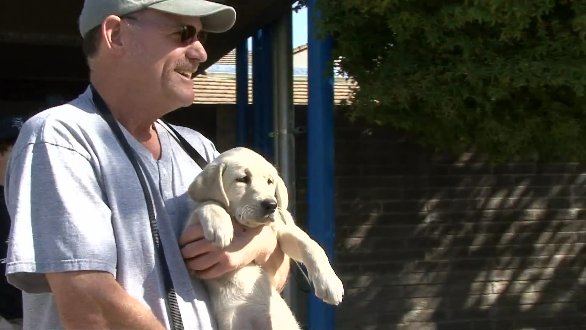 Staff members interact with a young golden retriever puppy named Skittle at an animal facility. The footage includes outdoor handling, brief interviews, and a preliminary health examination on an exam table.