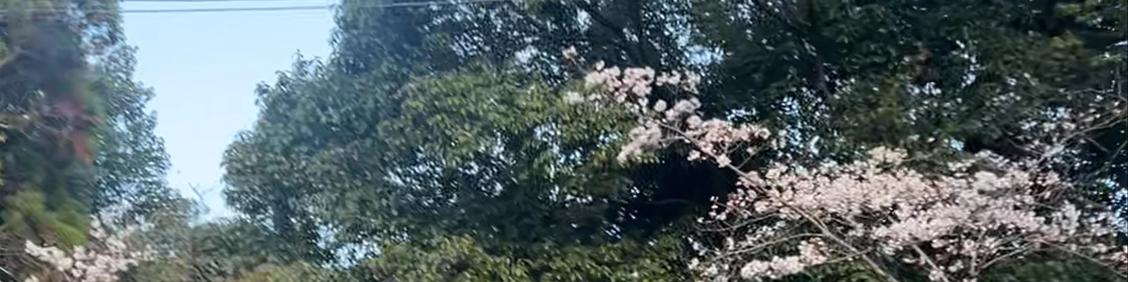 Kōshō-ji Temple