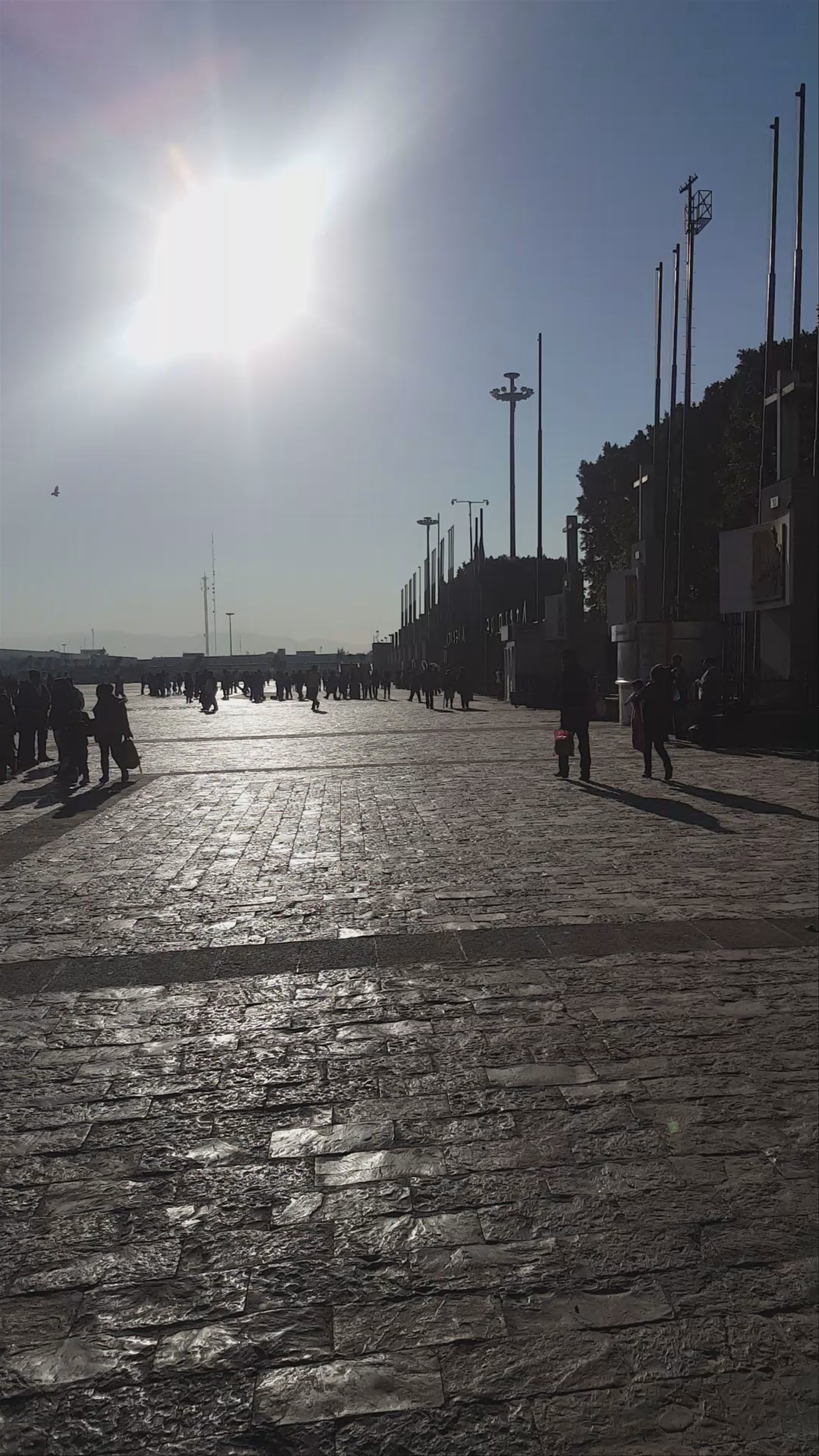 Basilica of Our Lady of Guadalupe