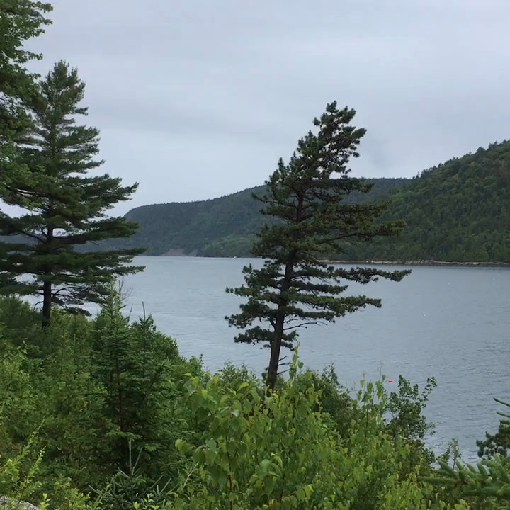 MDI Tours - Matt took us to places that were off the beaten path ..... so glad we had Matt on a drizzly day to optimize our visit to Bar Harbor. - Tours Near Me - Bar Harbor, Maine