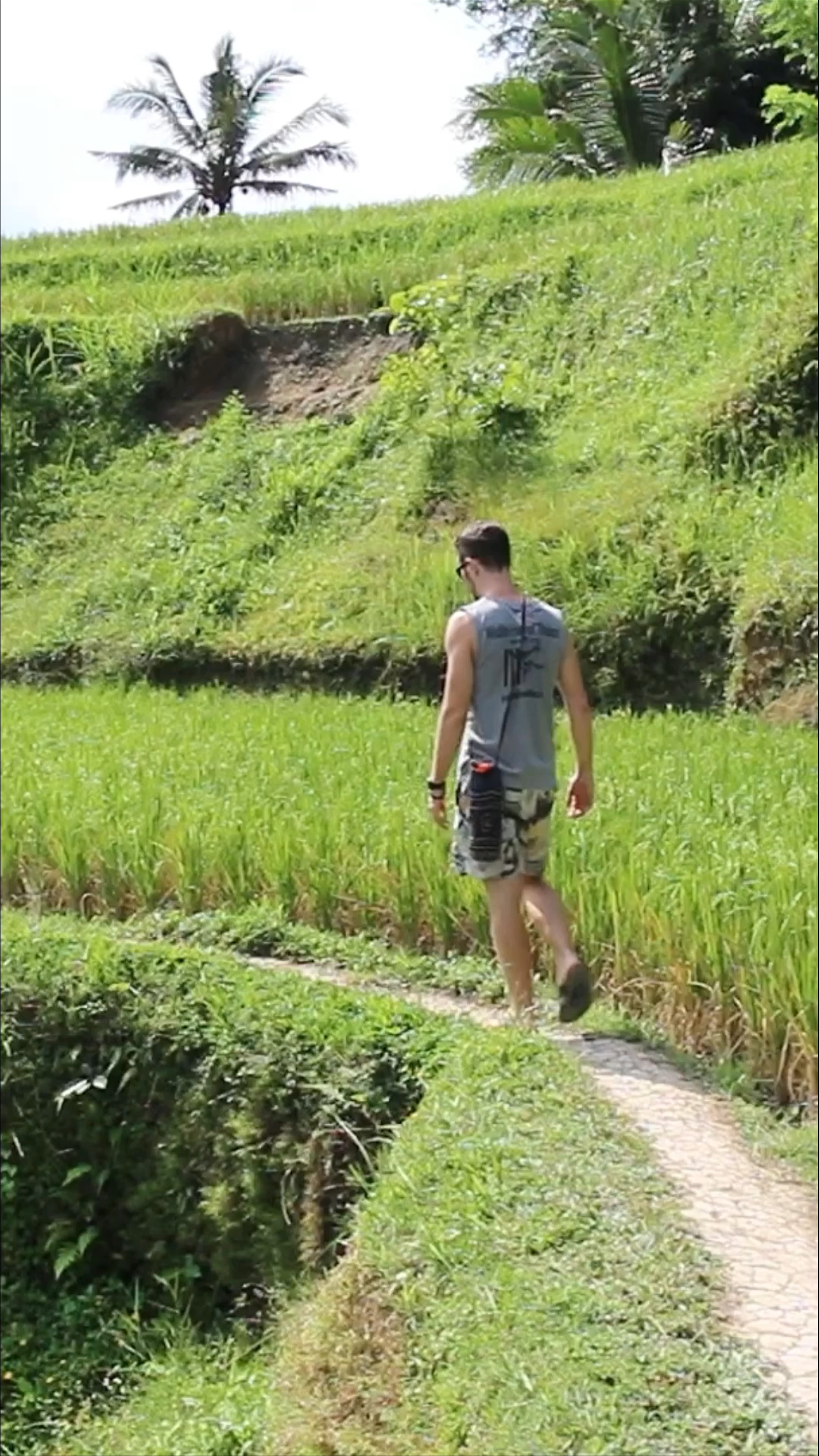 The Tegalalang Rice Terrace