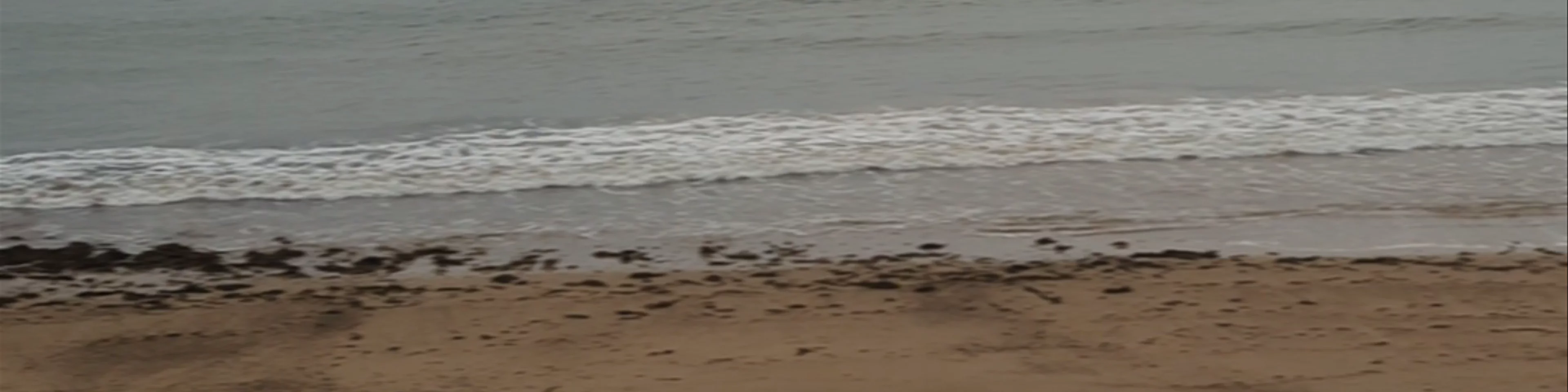 East Devonport Beach