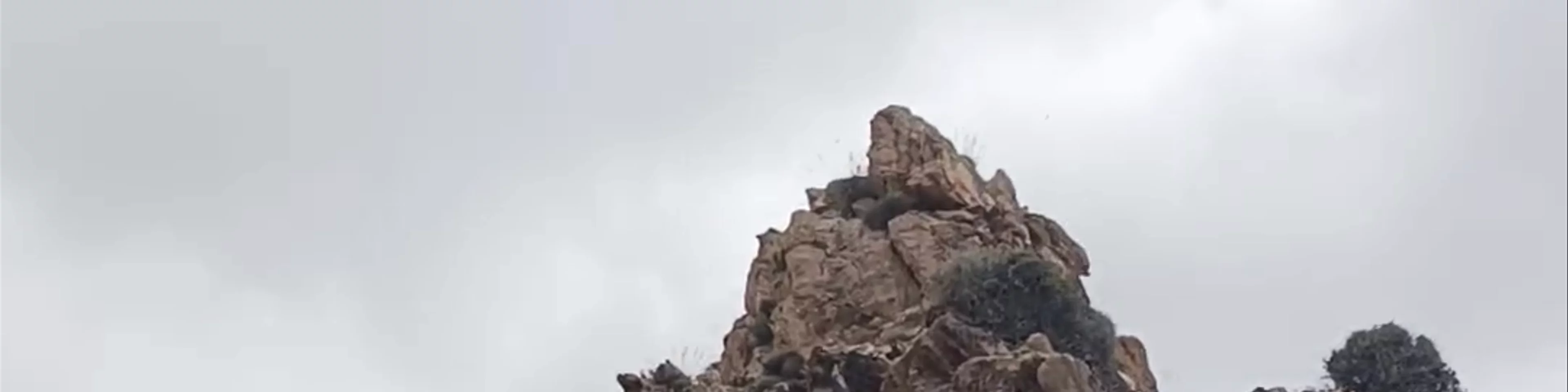 Sierra de la Muela