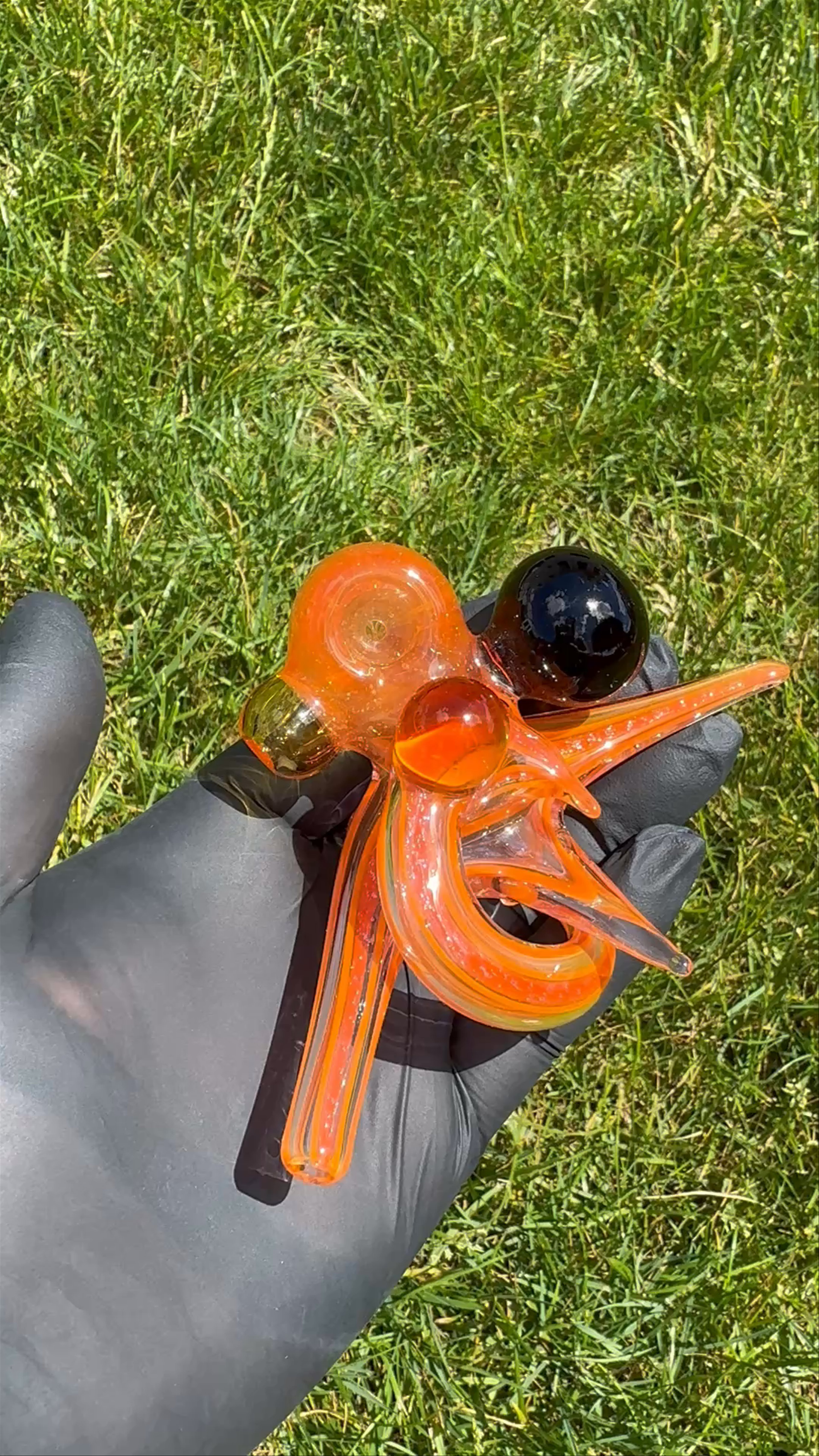 Preview pic of 🧡Dry Heady Dave Colton🧡