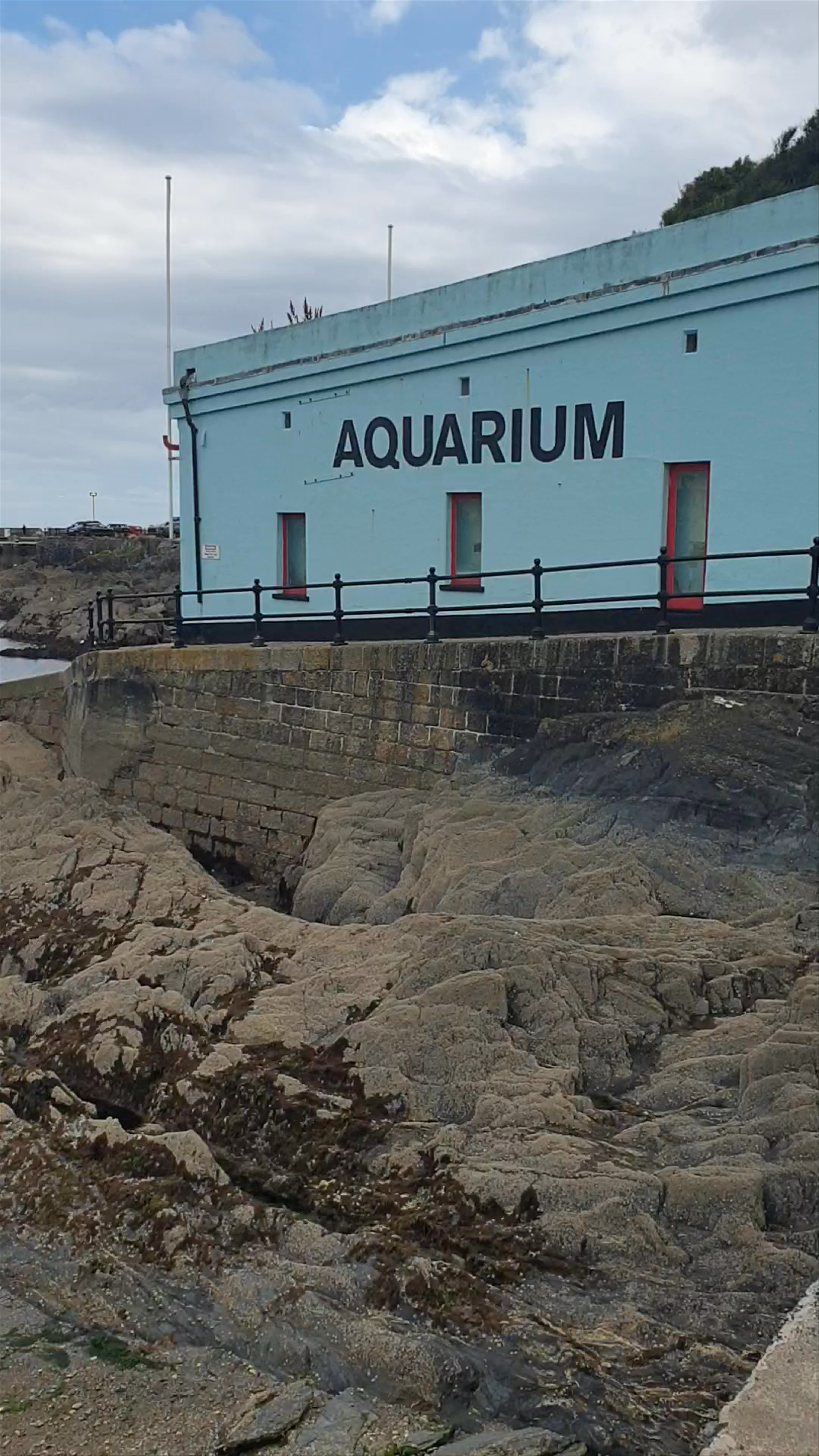 Mevagissey Aquarium