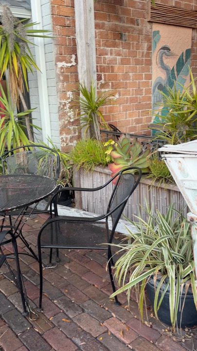 Cafe Vino Tinto - Coffee Roasteries Near Me - Safety Harbor, Florida