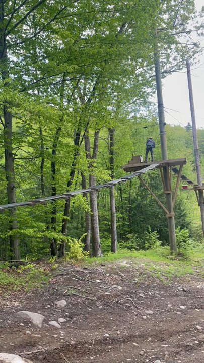 Alpine Adventures - Tours Near Me - Lincoln, New Hampshire