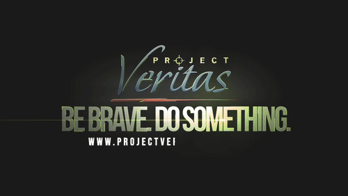 Video Thumbnail Loop