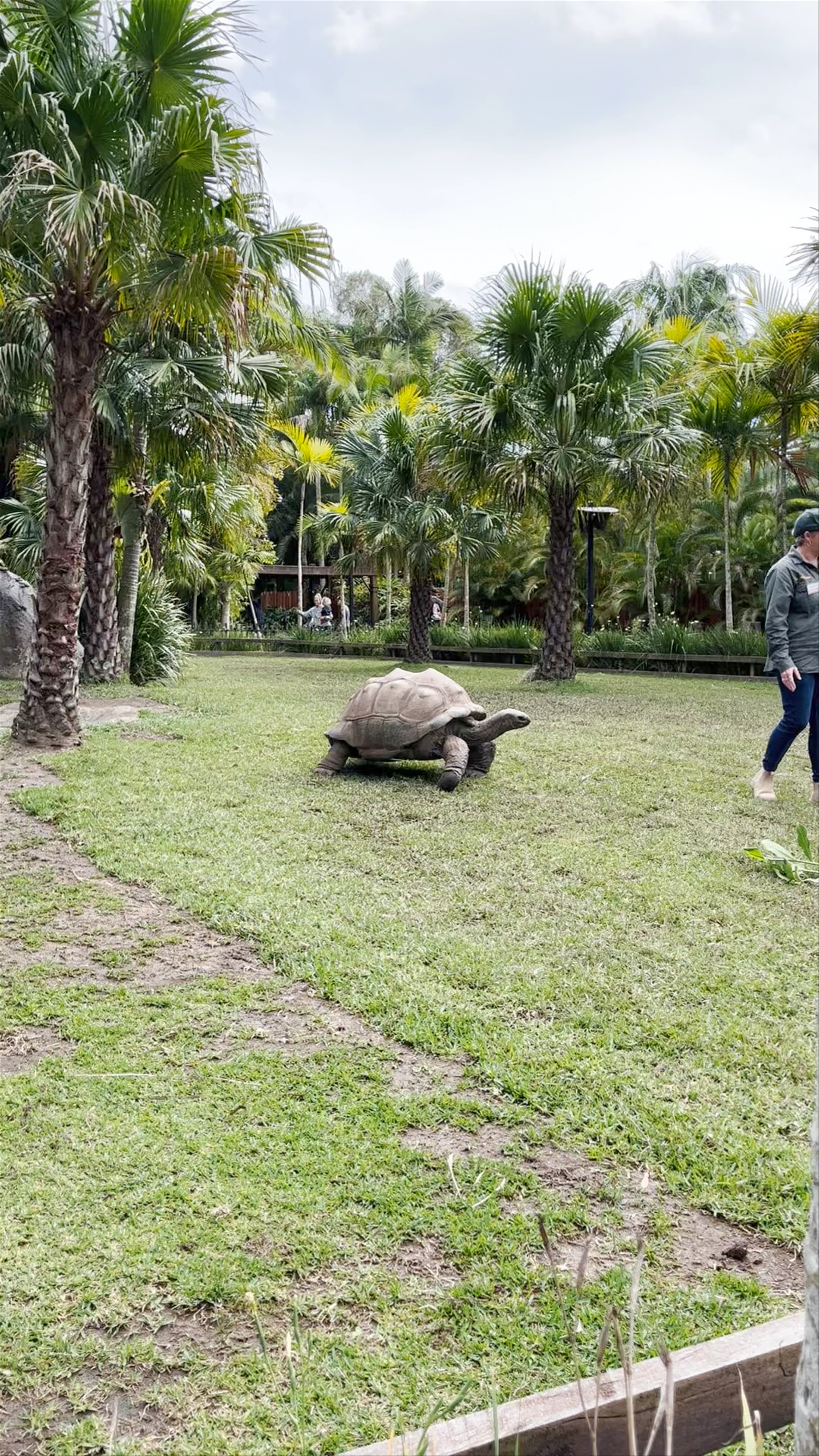 Australia Zoo