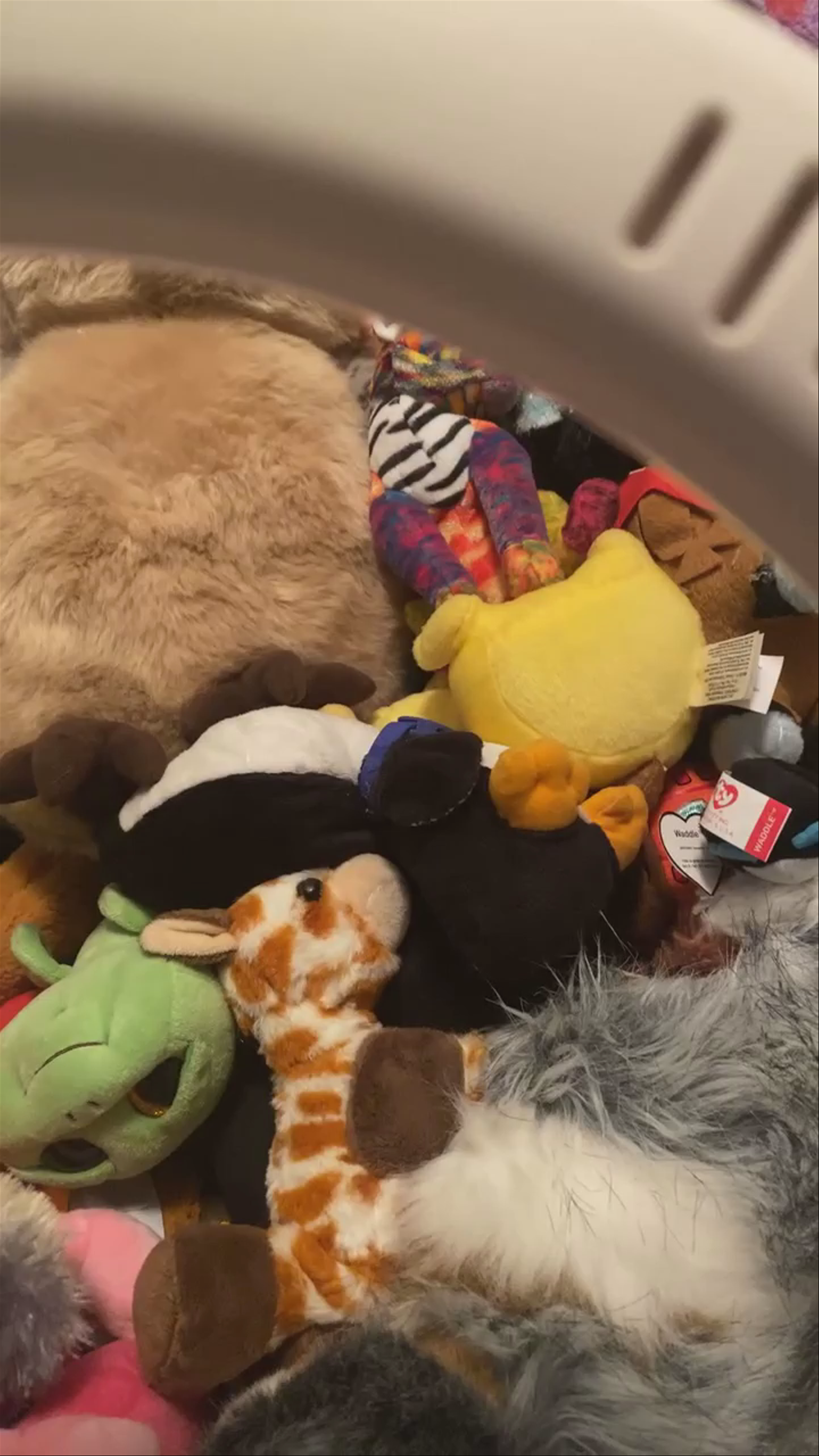 Check out one of the sweetest streamers 