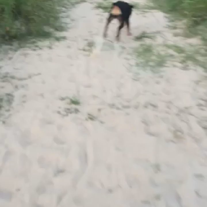 Cypresswood Trails - The sand feels great - Parks Near Me - Spring, Texas
