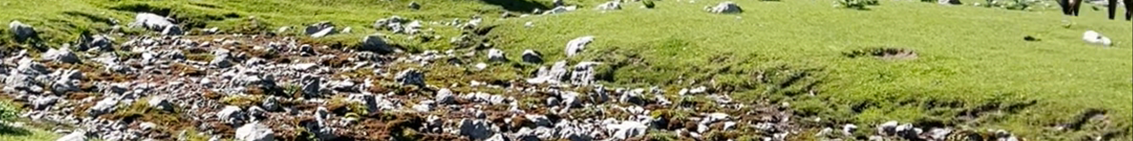 Tours & experiences in Besh-Badam