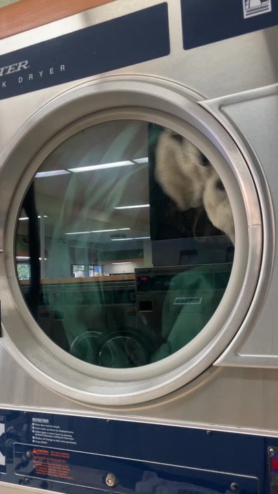 Lee Laundromat - Laundromat Near Me - San Jose, California