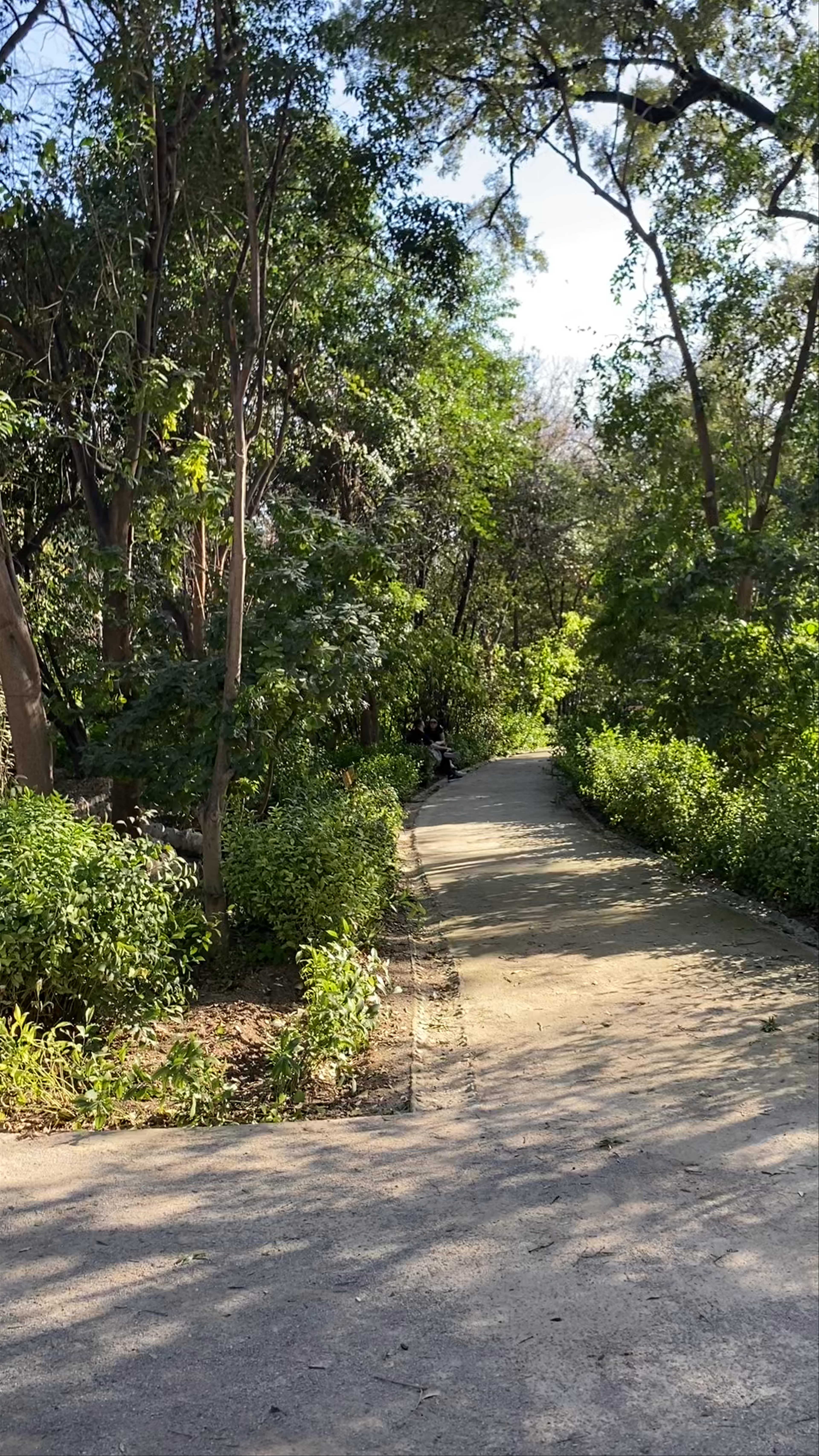Εθνικός Κήπος: Tranquil Urban Escape in the Heart of Athens