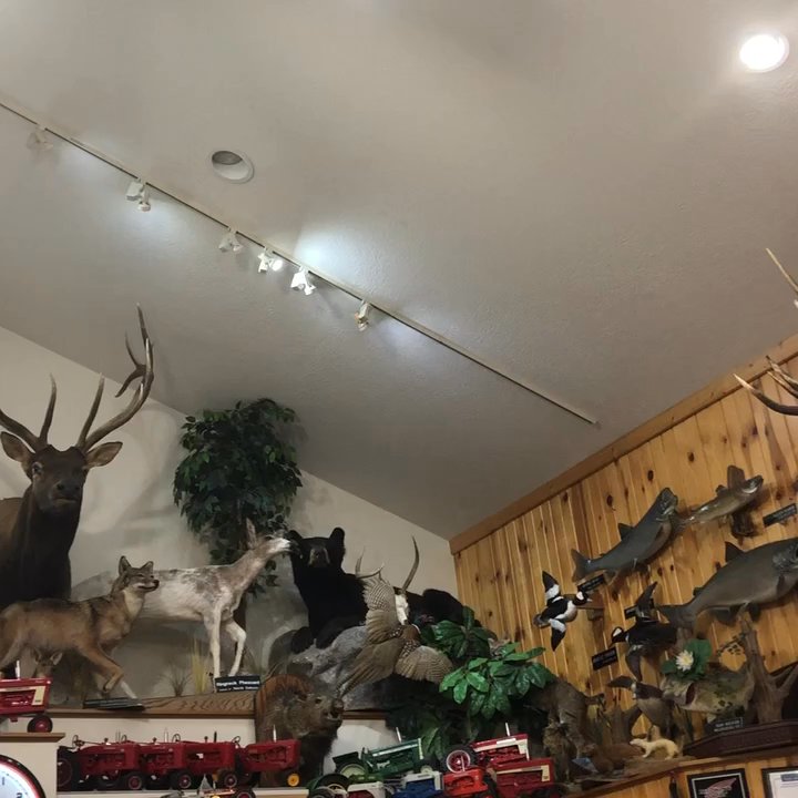 Charm Harness & Boot - Horse Equipment Shops Near Me - Charm, Ohio