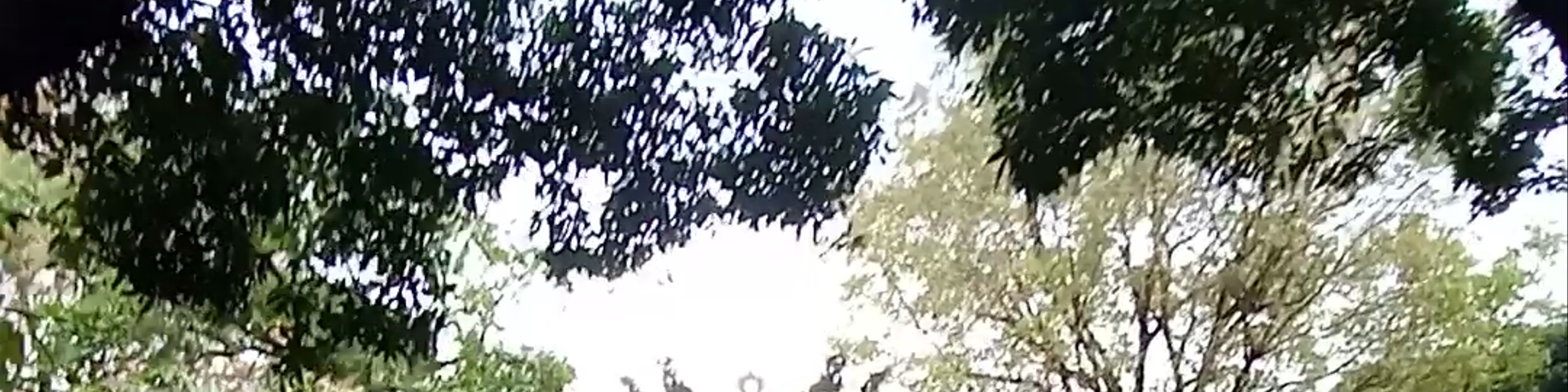 Hà Nội