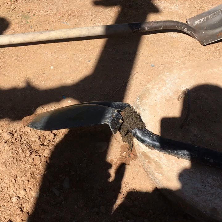 Ak Septic Pumping & Installation - Sometimes you find the craziest insects when you crack open a tank. - Septic Services Near Me - Santa Fe, New Mexico