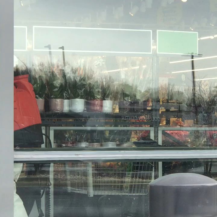 Lidl - Video footage of Lidl store cleaning Mid day - Grocery Near Me - Snellville, Georgia
