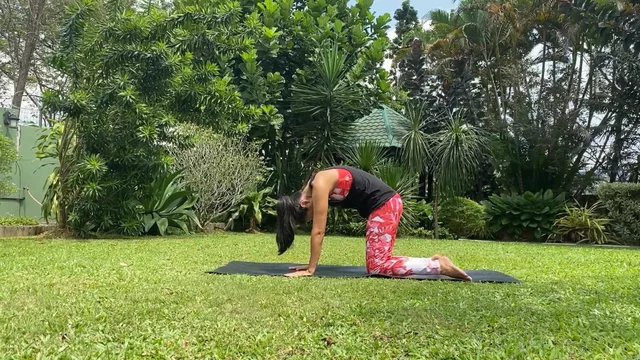 Jojo Struys | Turning Stress To Energy 