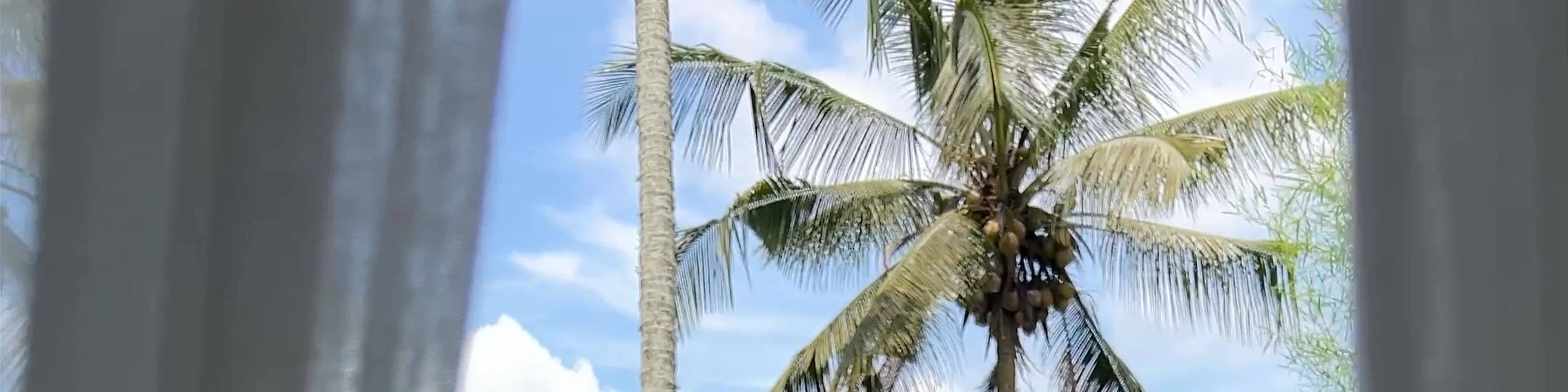 MAGIC HILLS BALI