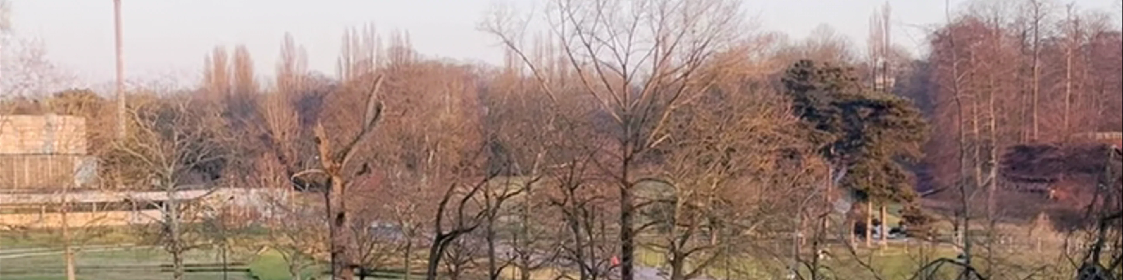 Point de vue sur le parc (expo 1958)