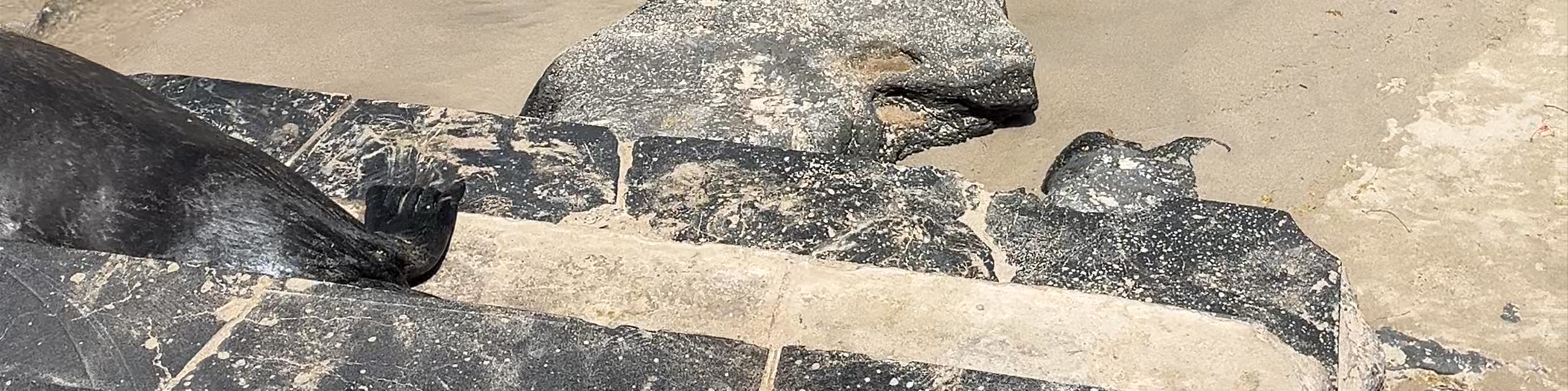 Playa de Oro
