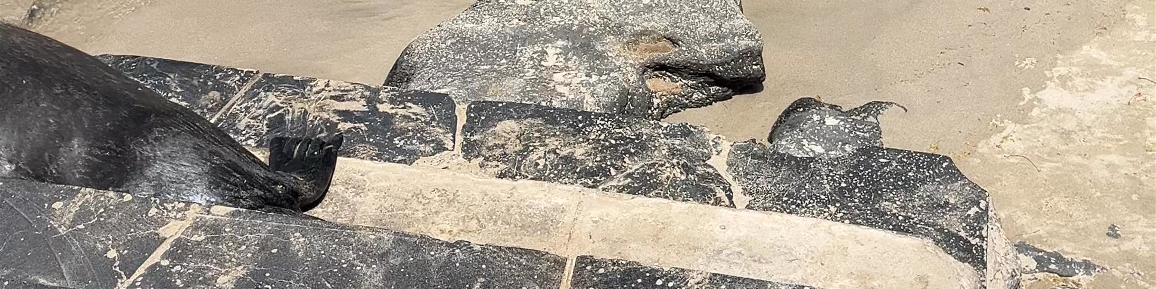 Playa de Oro