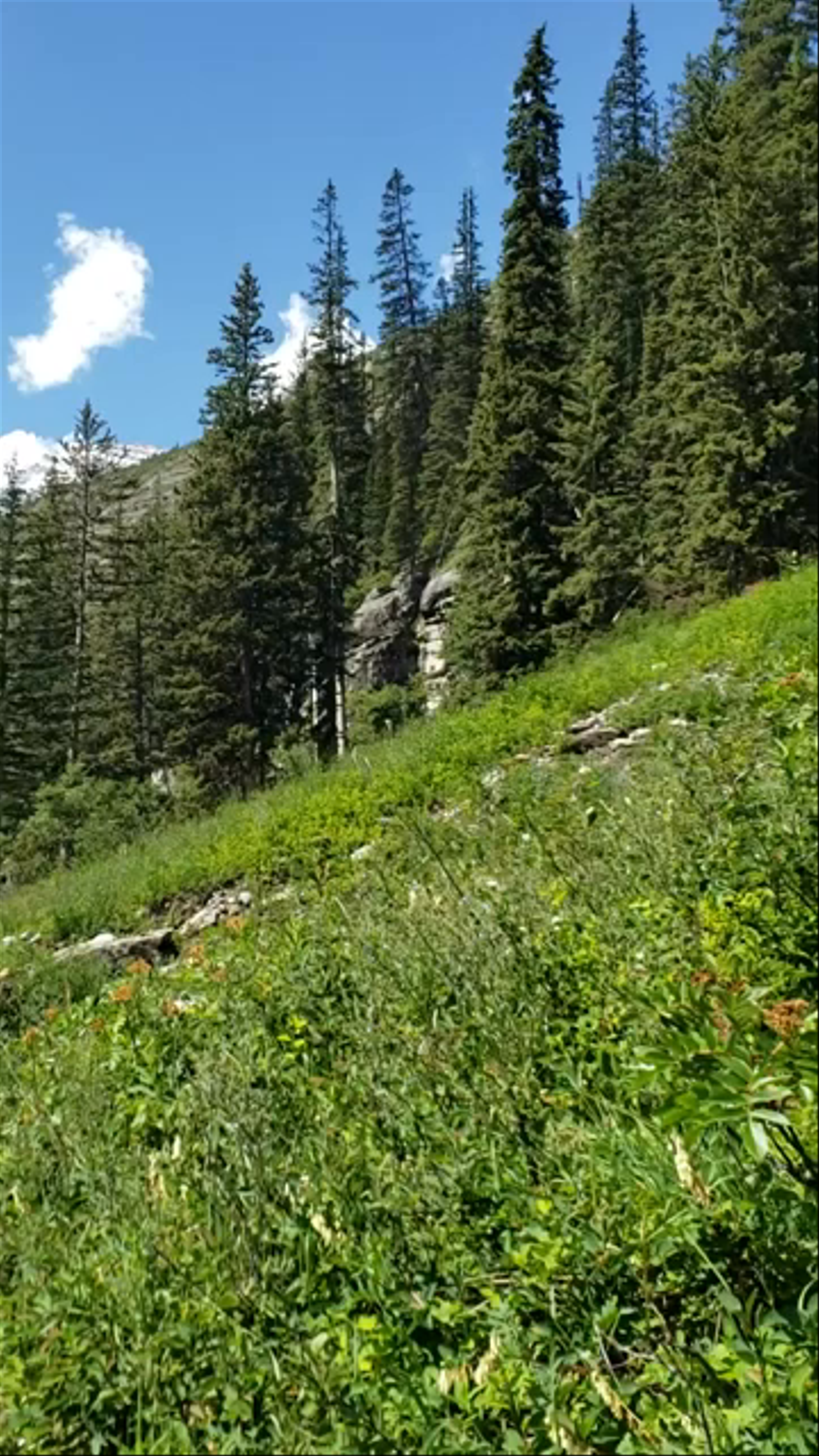Lake Louise