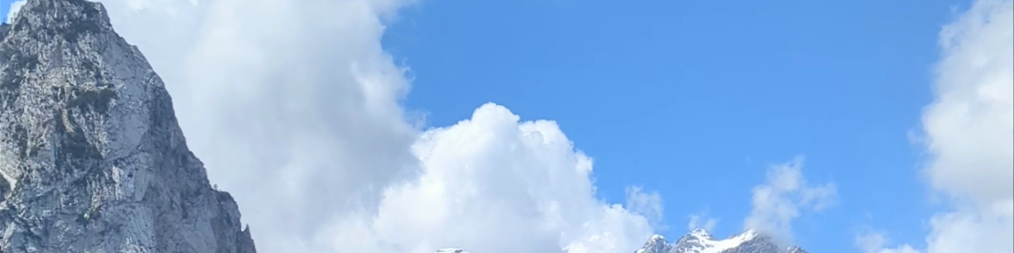 Macesen na Klemenči jami