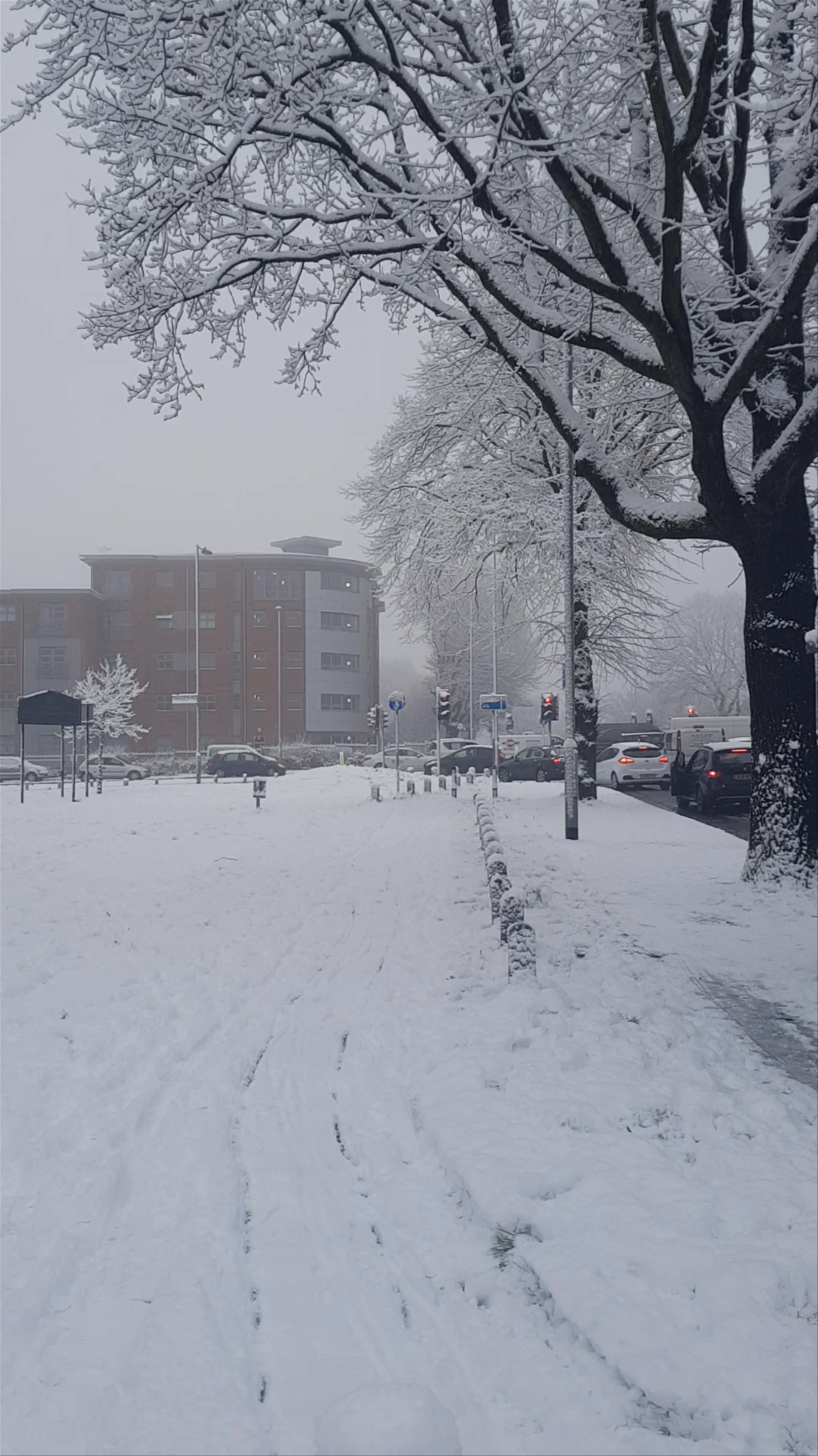 Winter Wonderland at Hough End Playing Fields, Manchester