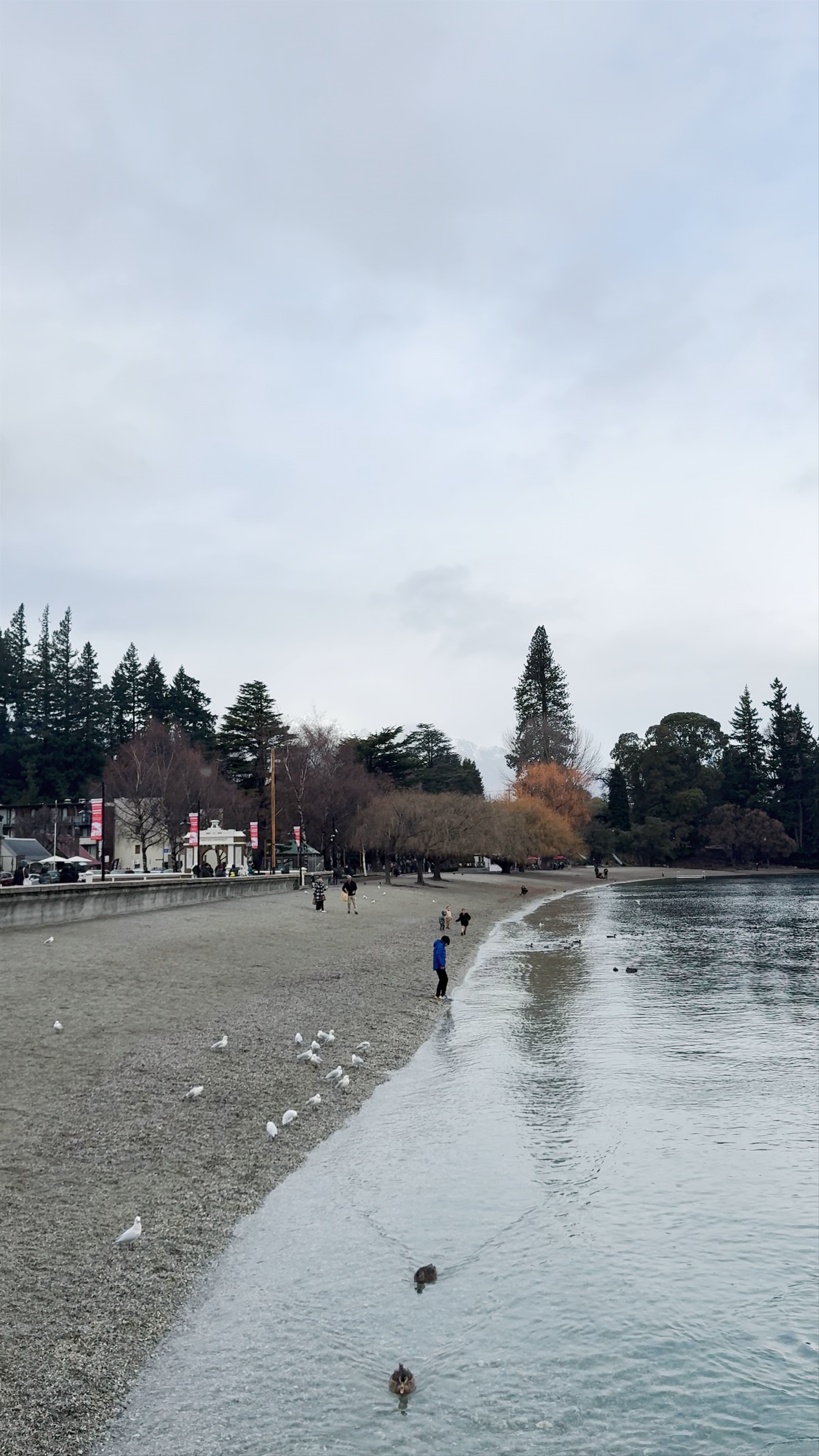 Queenstown Wharf Walk