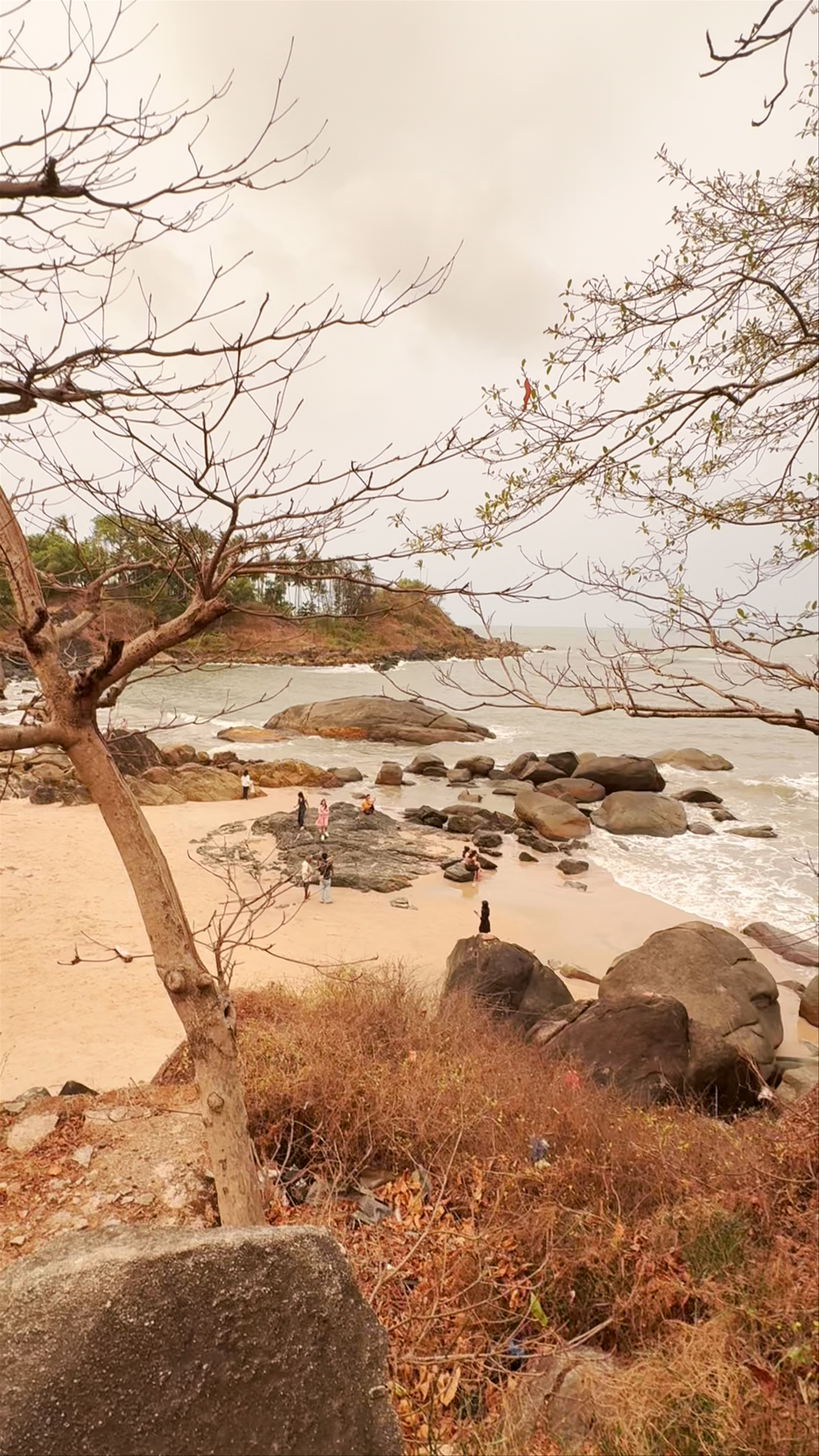 Sea Turtle Rock: Enchanting Coastal Escape in Palolem, Goa