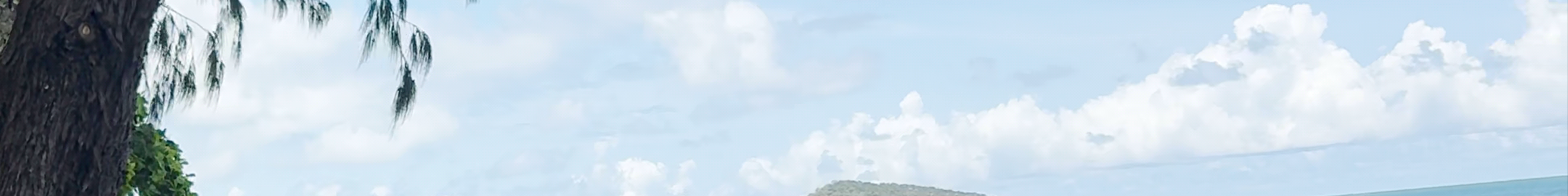 Tours & experiences in Cairns