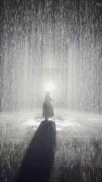 Photo of Rain Room