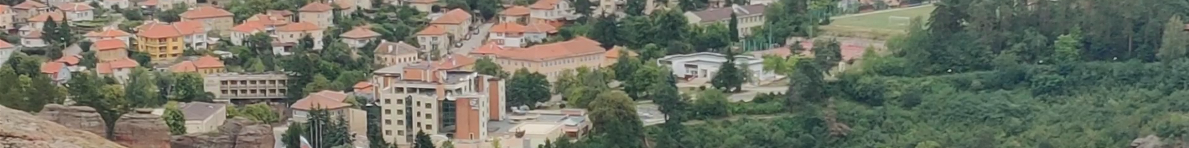 Tours & experiences in Vidin